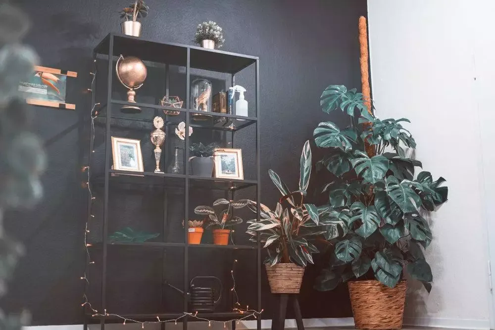 Innenaufnahme Omega Tattoo